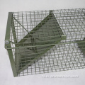 Whit Bird Cage Animal Live Trap een vogelcagetrap